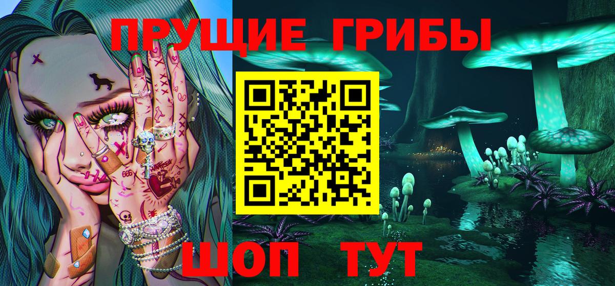Галлюциногенные грибы Psilocybine cubensis Воскресенск
