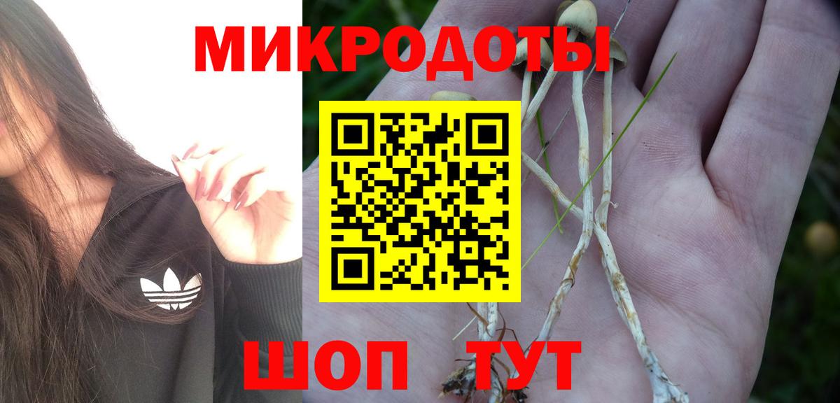 Галлюциногенные грибы Psilocybine cubensis  Вход с VPN  Воскресенск 